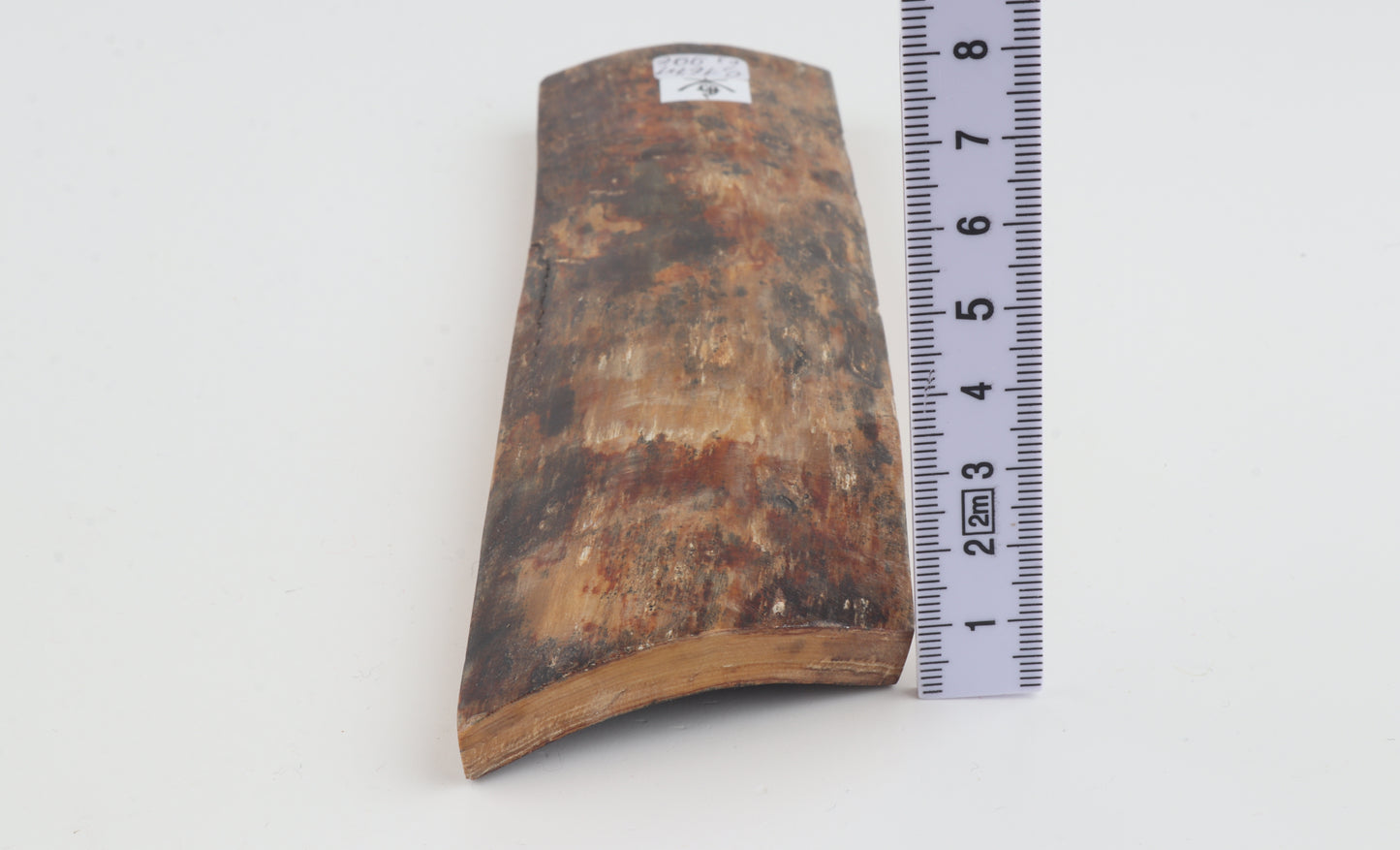 Natural mammoth bark