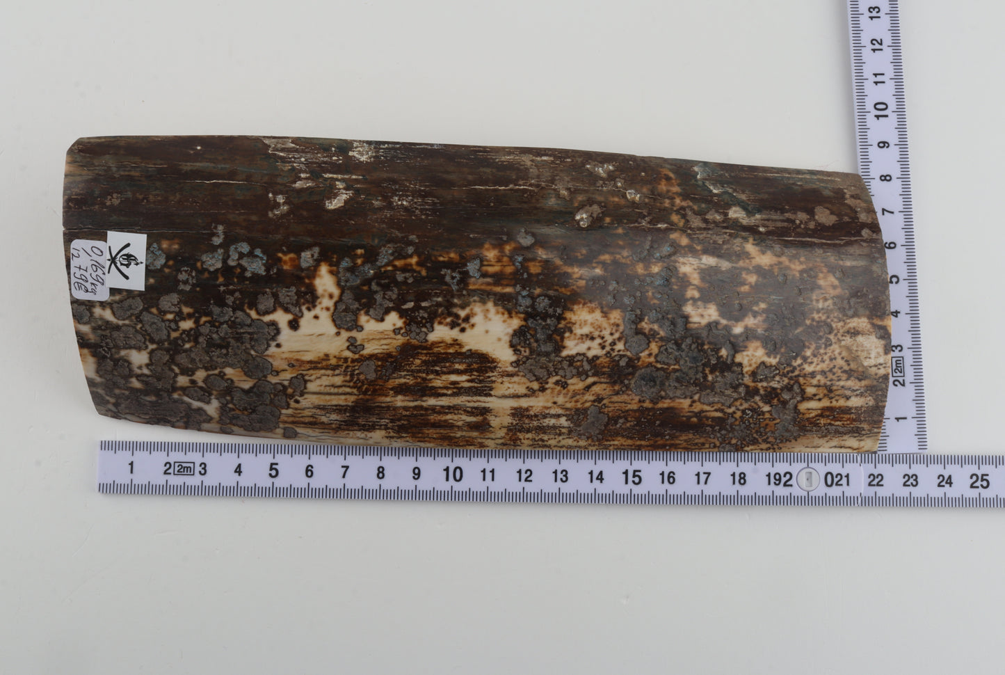 Brown-grey mammoth bark
