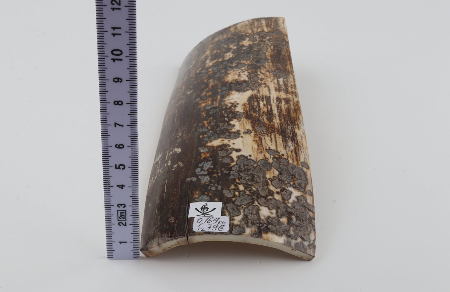 Brown-grey mammoth bark