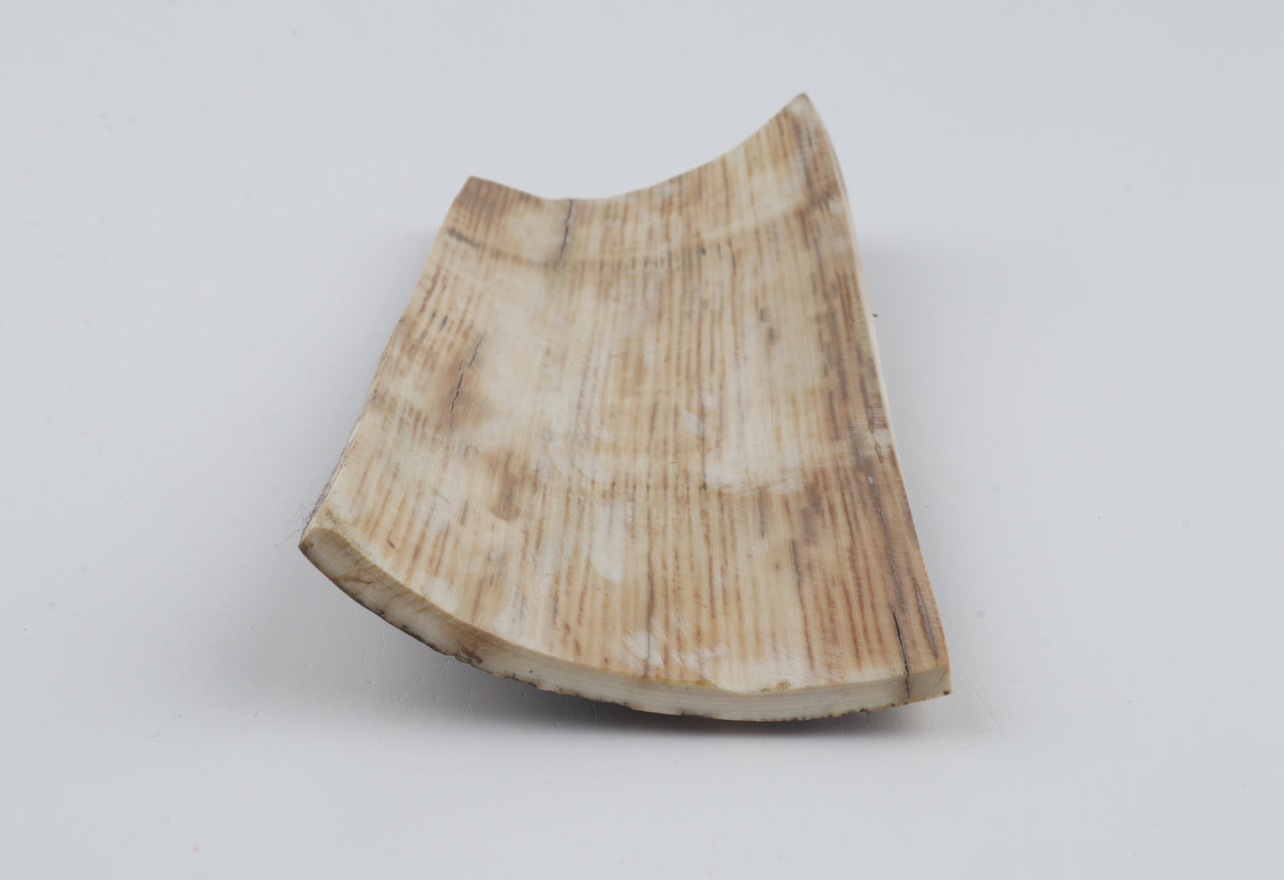 Brown-grey mammoth bark