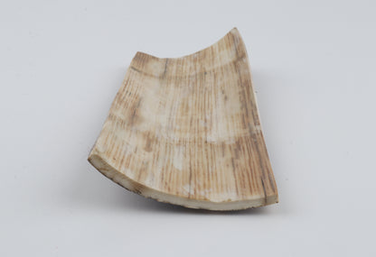 Brown-grey mammoth bark