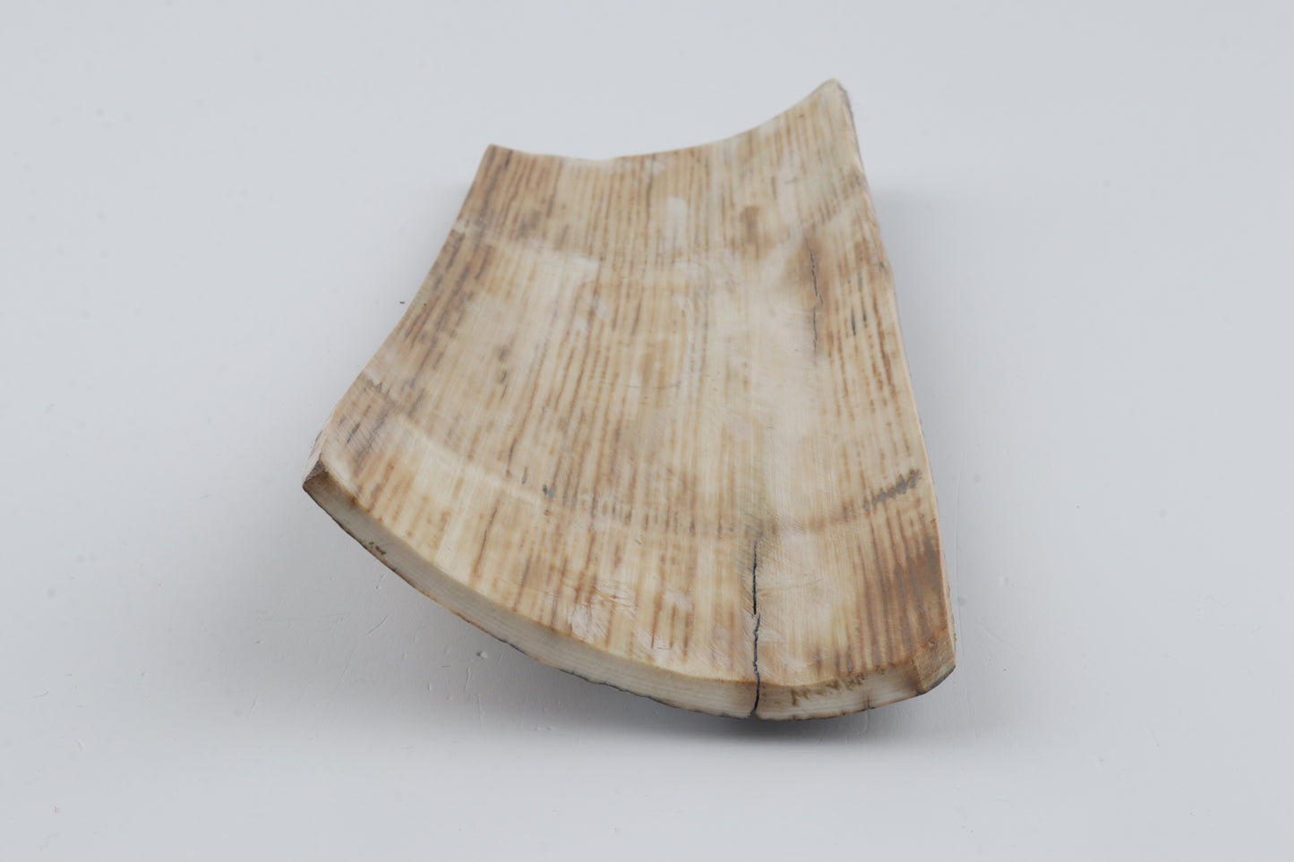 Brown-grey mammoth bark