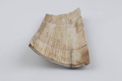 Brown-grey mammoth bark