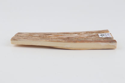Beige mammoth bark
