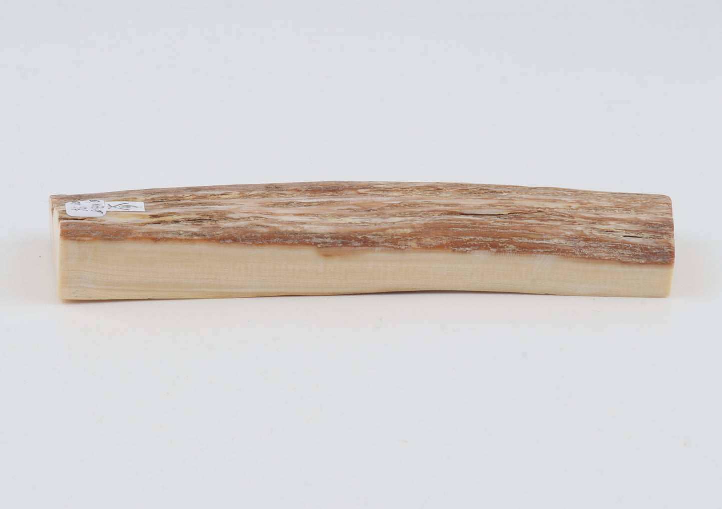 Beige mammoth bark