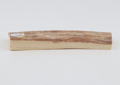 Beige mammoth bark