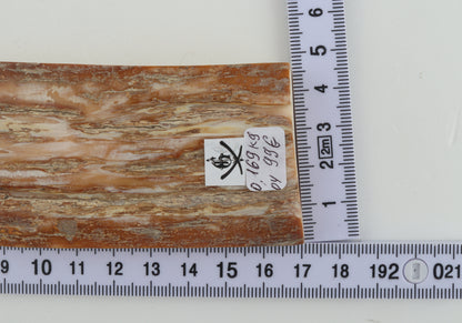 Beige mammoth bark