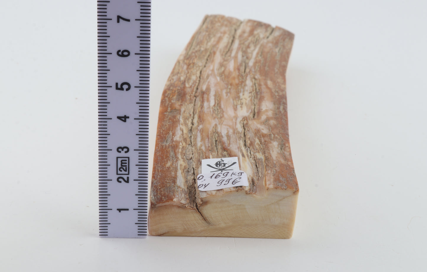 Beige mammoth bark