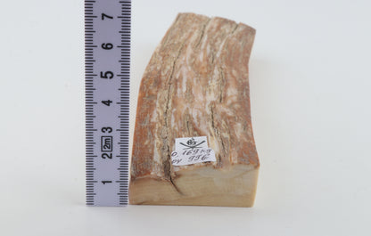 Beige mammoth bark