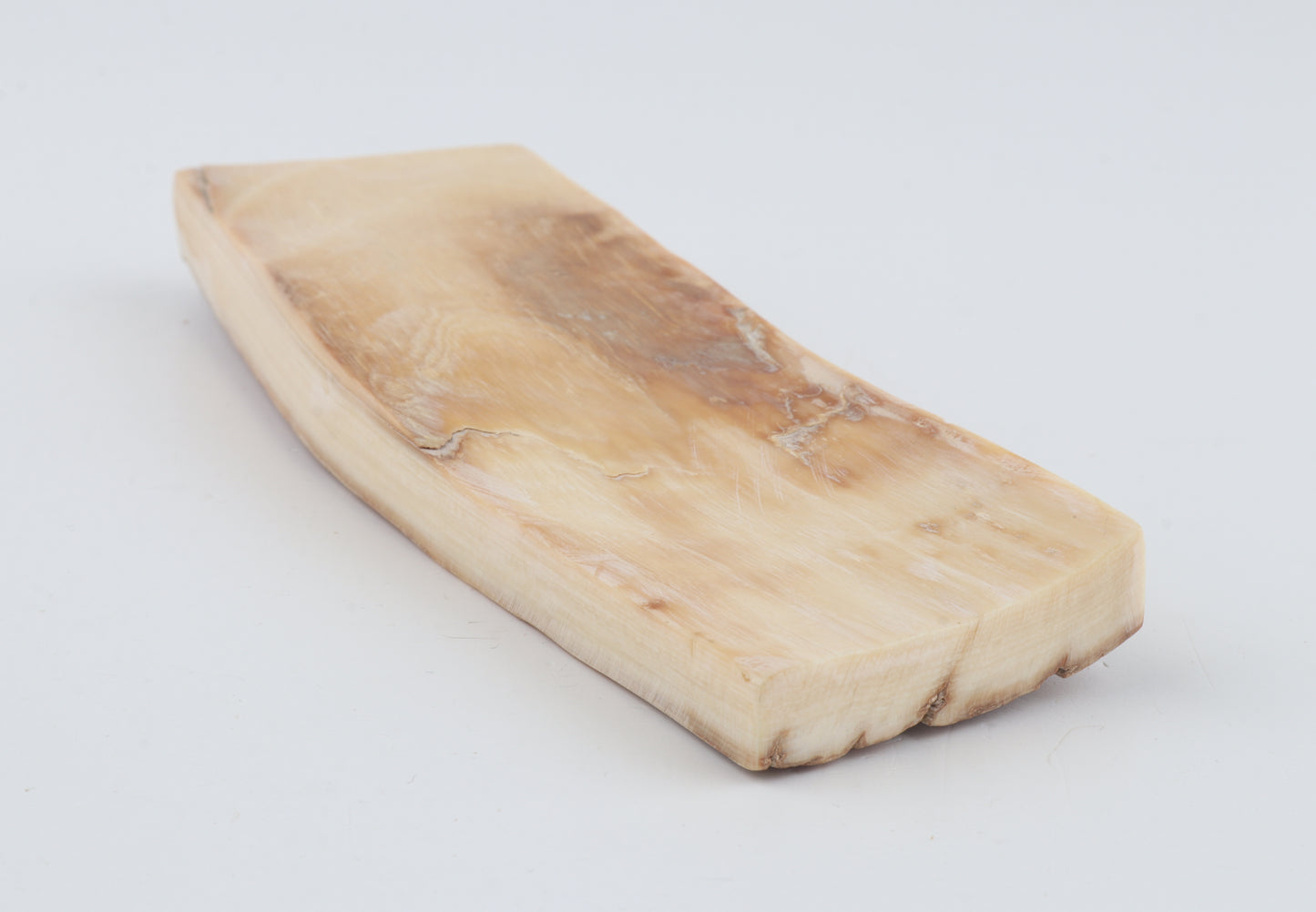 Beige mammoth bark