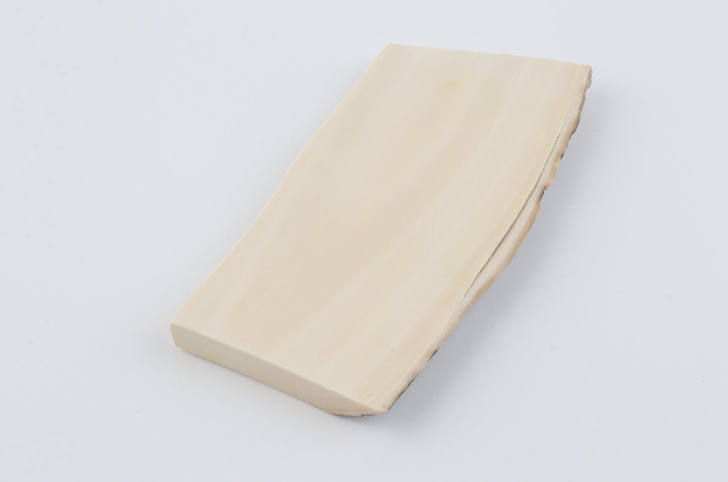 White mammoth ivory segment