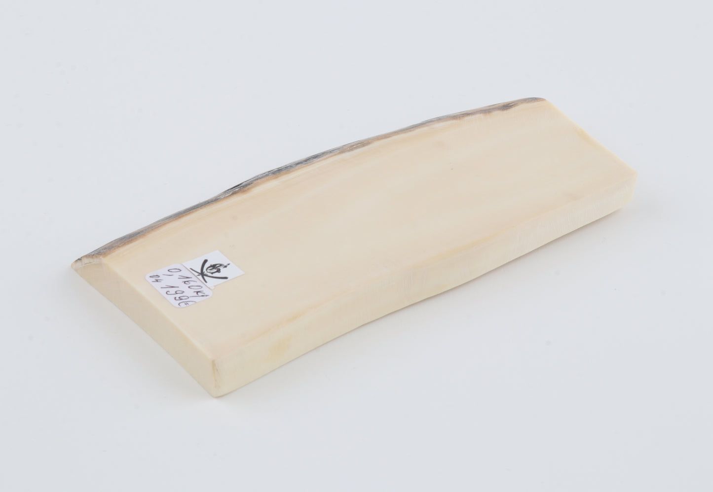 White mammoth ivory segment