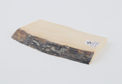 White mammoth ivory segment