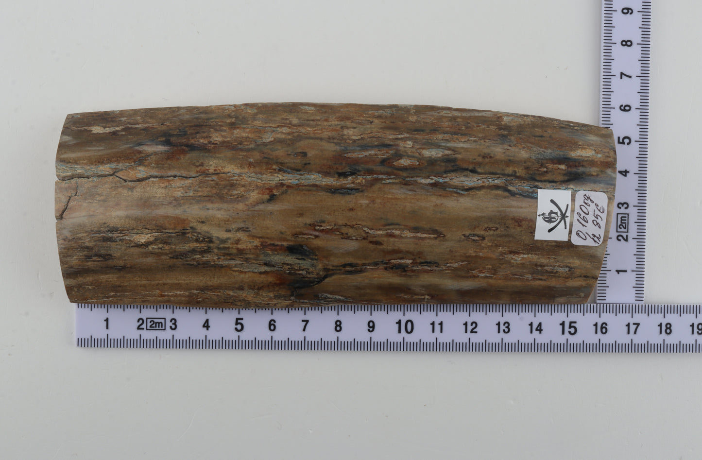 Beige-grey mammoth bark