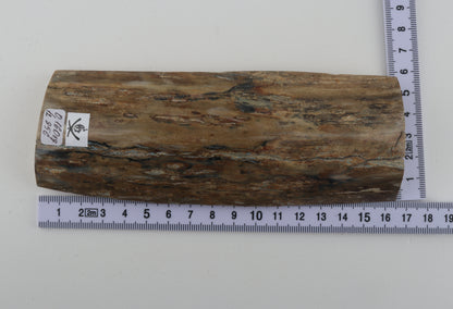 Beige-grey mammoth bark