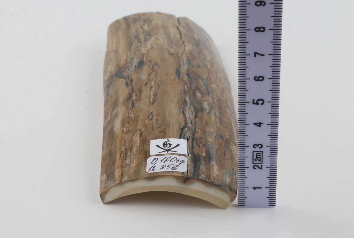 Beige-grey mammoth bark