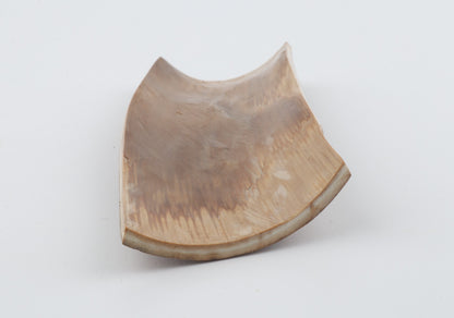 Beige mammoth bark