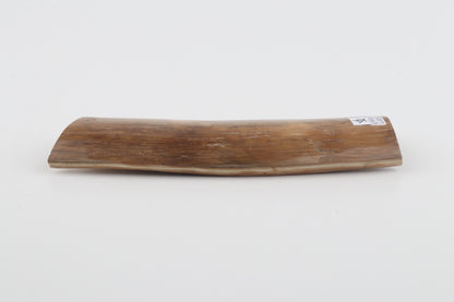 Beige mammoth bark