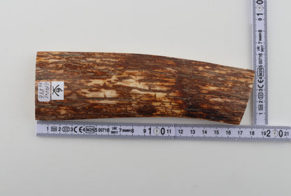 Orange-brown mammoth bark