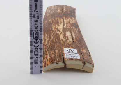 Orange-brown mammoth bark