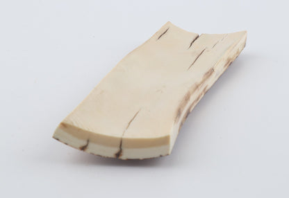 Orange-brown mammoth bark