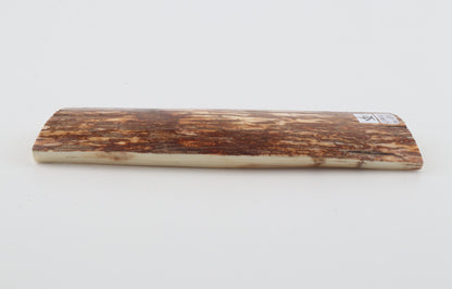 Orange-brown mammoth bark