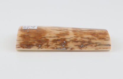 Cream-brown mammoth bark