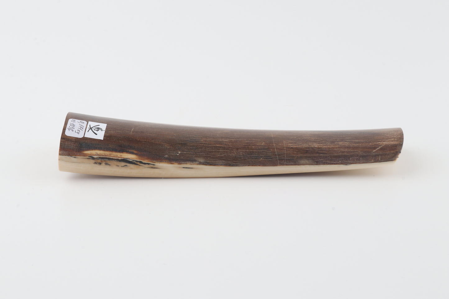 Brown mammoth bark