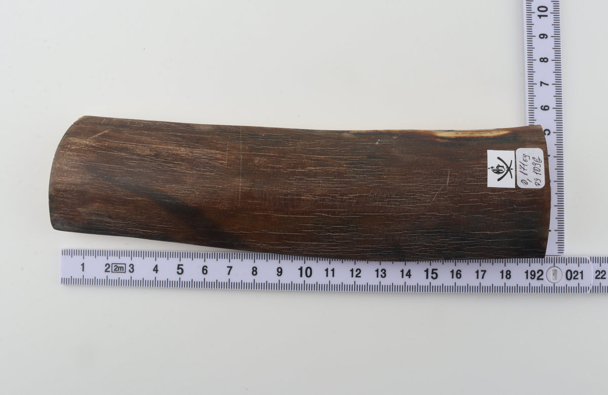 Brown mammoth bark
