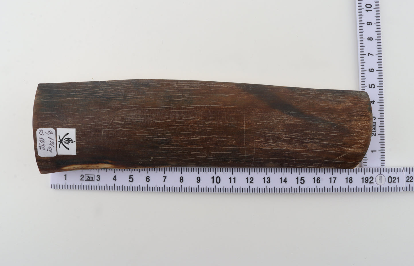 Brown mammoth bark