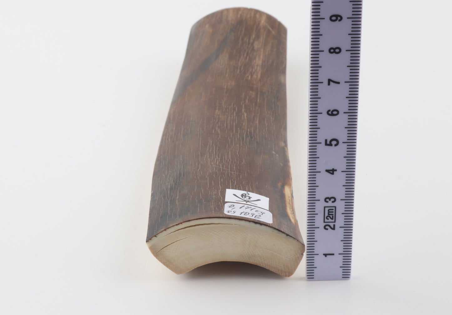Brown mammoth bark