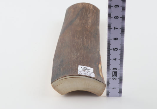 Brown mammoth bark