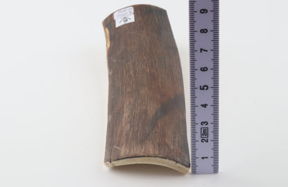Brown mammoth bark