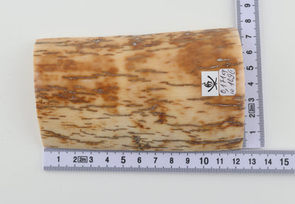 Cream-brown mammoth bark