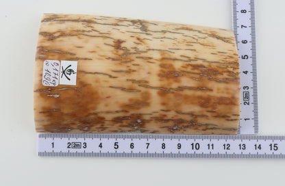Cream-brown mammoth bark