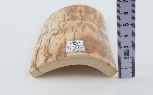 Cream-brown mammoth bark