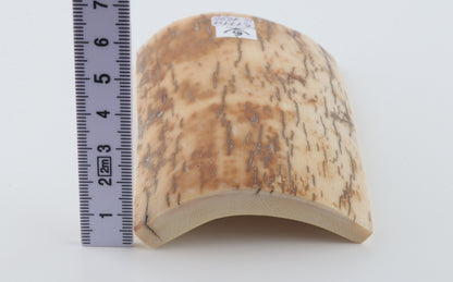 Cream-brown mammoth bark