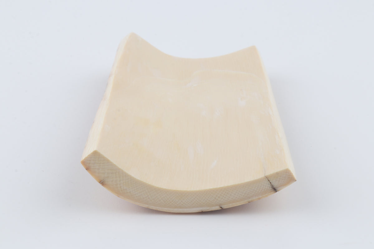 Cream-brown mammoth bark