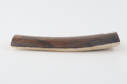 Brown mammoth bark