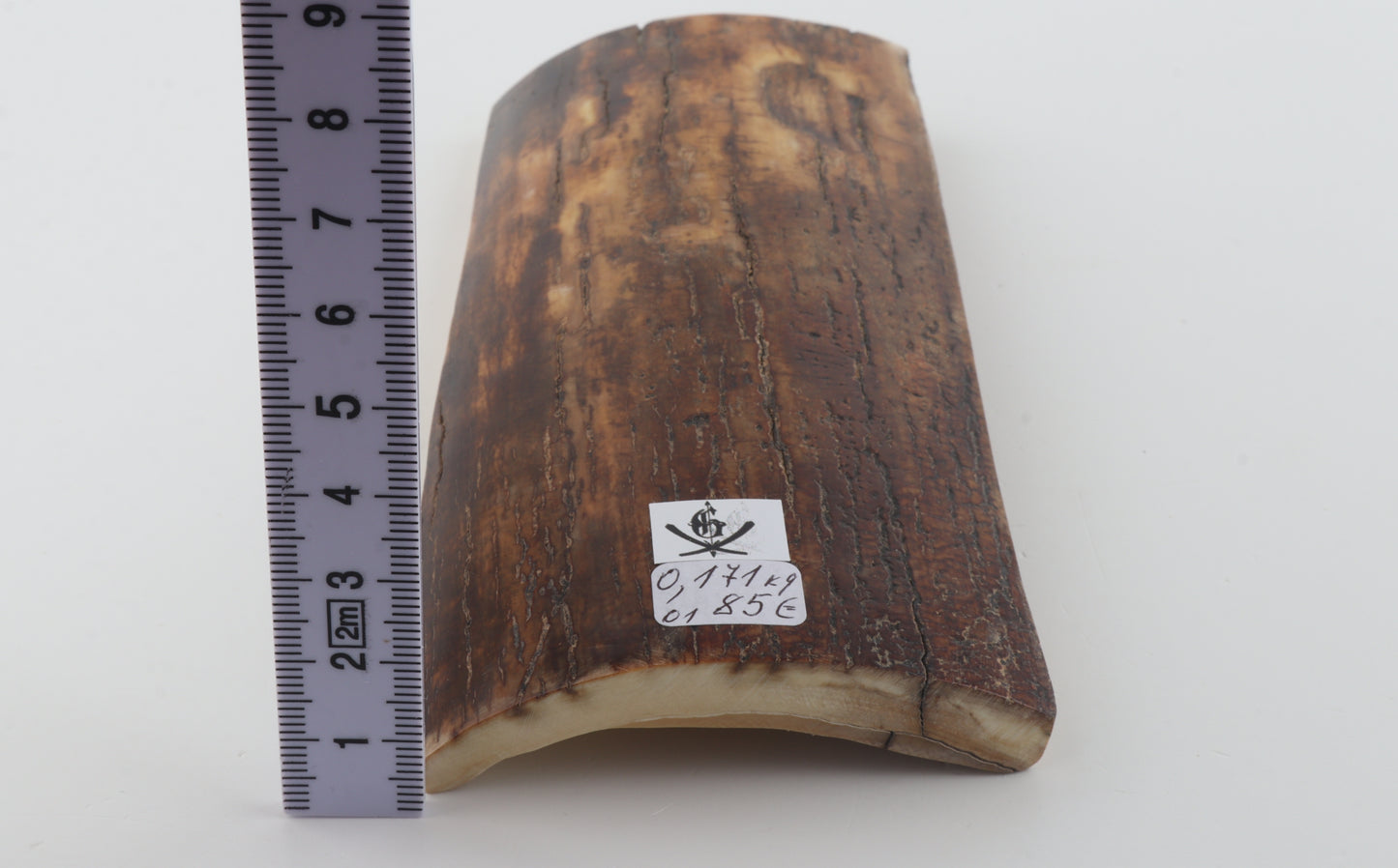 Brown mammoth bark
