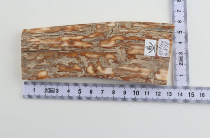 Beige-creme mammoth bark