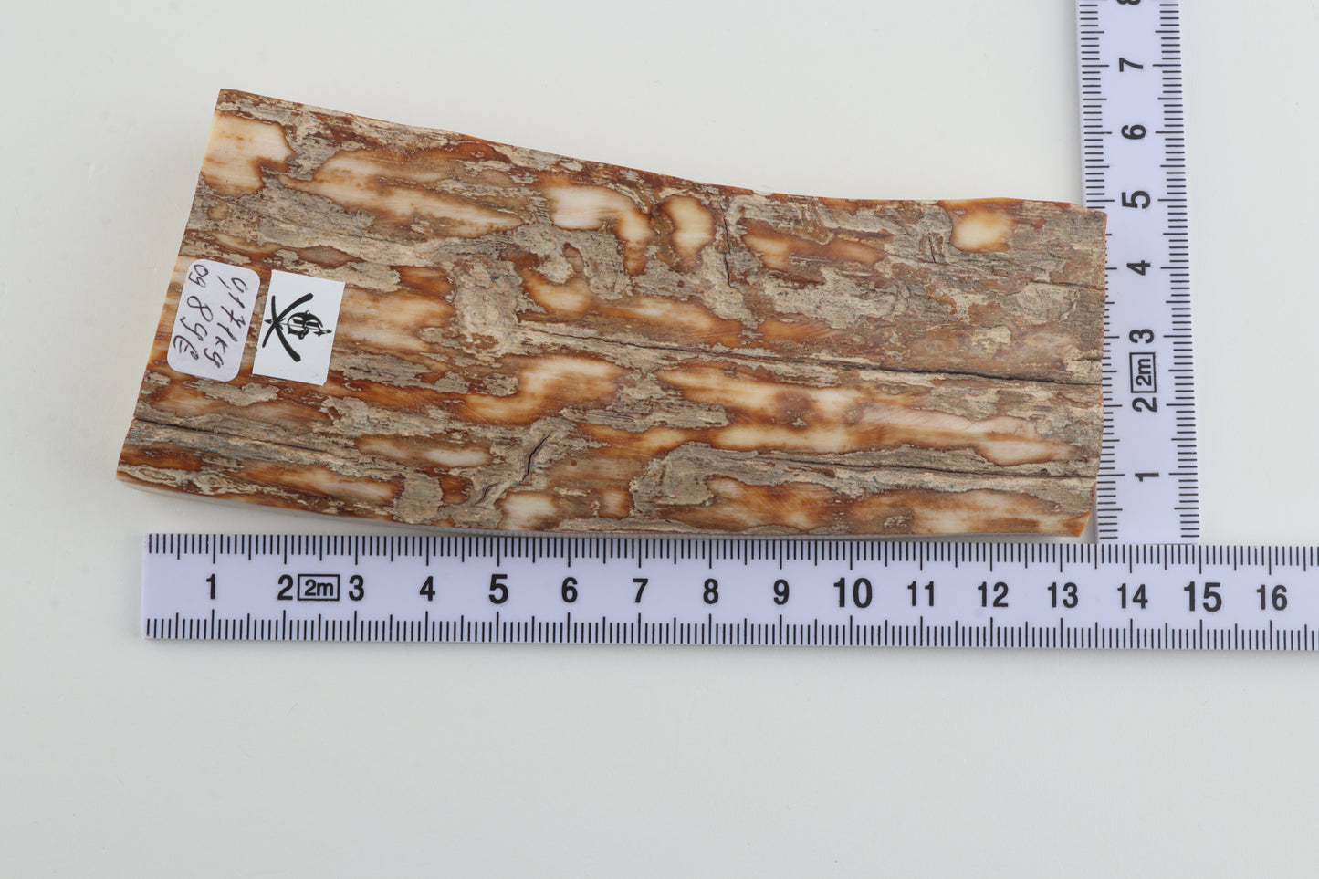 Beige-creme mammoth bark