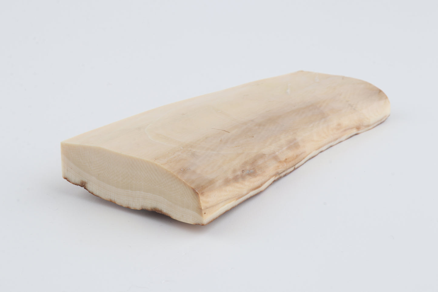 Beige-creme mammoth bark