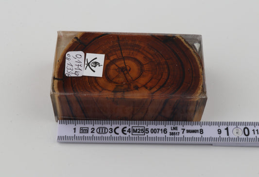Stabilized mammoth ivory block