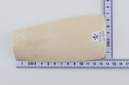 White mammoth ivory piece