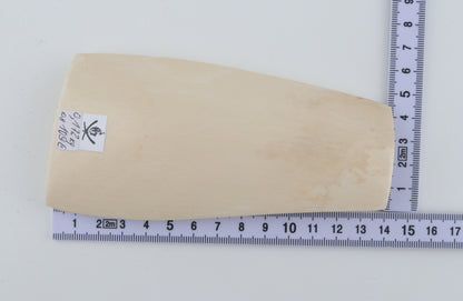 White mammoth ivory piece