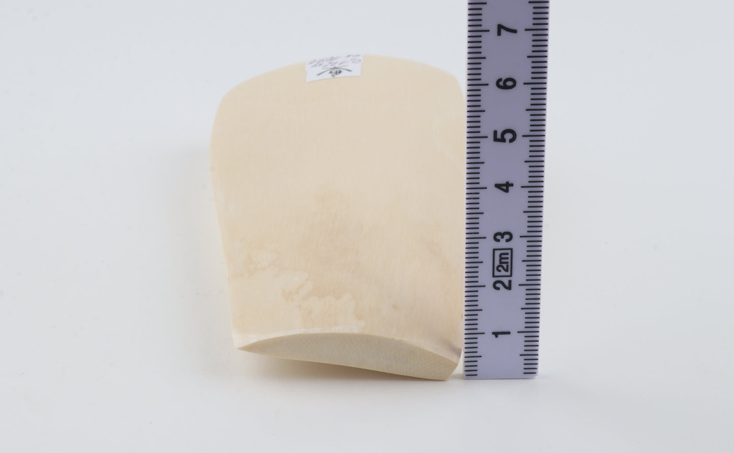 White mammoth ivory piece