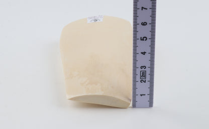 White mammoth ivory piece