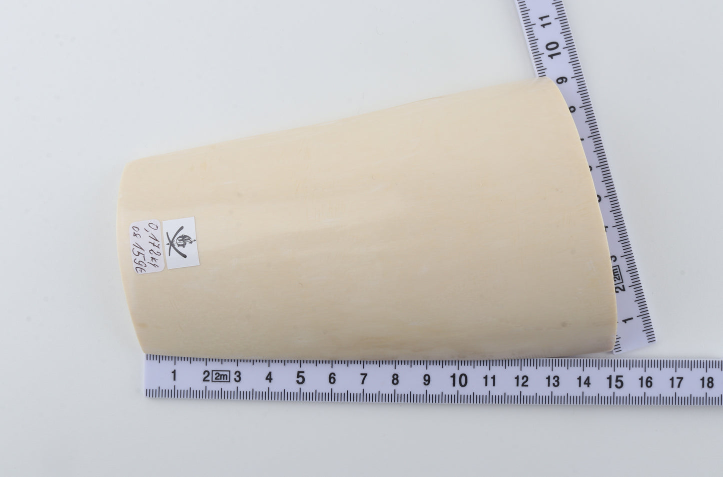 White mammoth ivory piece