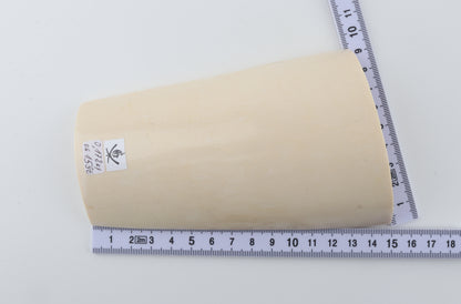 White mammoth ivory piece